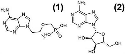 Detection and quantification of antiviral drug tenofovir using silver nanoparticles and surface enhanced Raman spectroscopy (SERS) with spatially resolved hotspot selection